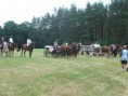 /album/horni-jeleni-2006/nastup-povozu-jpg/